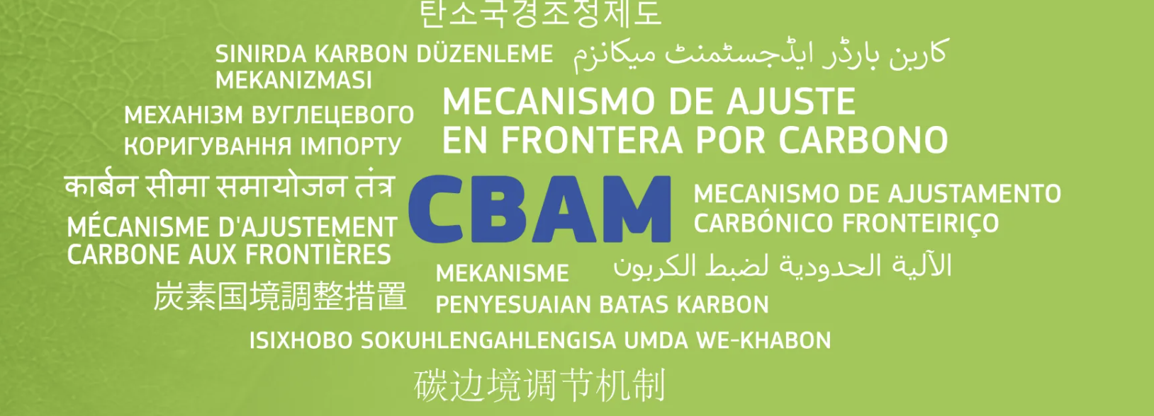 De crypto-belegger onder fiscaal vuur.